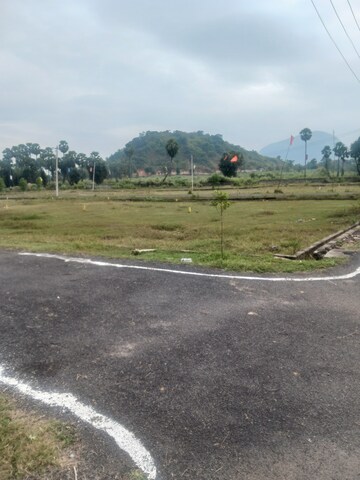 Plot For Resale in Sarada Colony Anakapalle  8211576