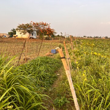 Plot Area in  Plot at Sejbahar – for Sale