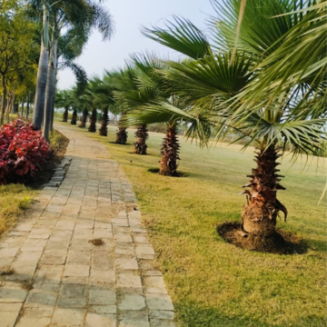 Plot – Garden View at Sejbahar - for Sale