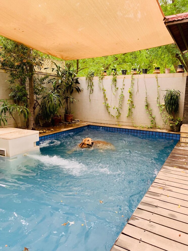 Swimming Pool, vipul-tatvam-villas 3.5 Bedroom 3000 Sq.Ft. Villa In Sector 48 Gurgaon 8211730