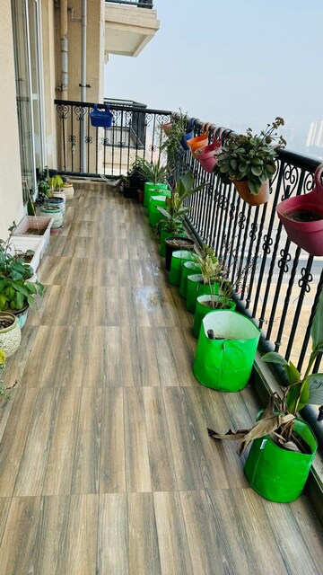 Balcony in 3 BHK Apartment at ATS Triumph, Sector 104 – for Rent