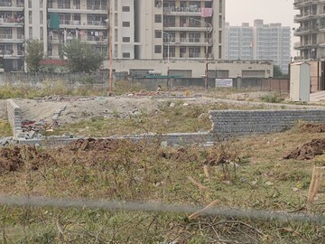 Plot For Resale in TDI City Kundli Kundli Sonipat  8037558