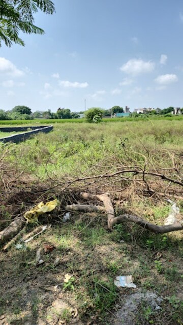 Plot Area in  Plot at TDI City Kundli, Kundli – for Sale