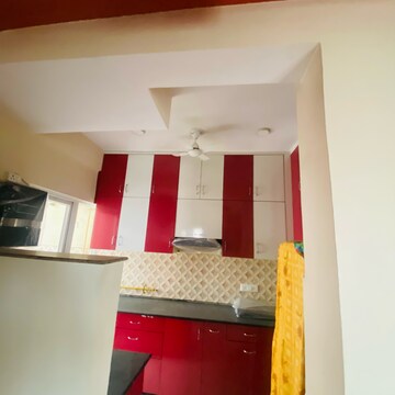 Kitchen in 3 BHK Apartment at Aims Golf Avenue II, Sector 75 – for Rent