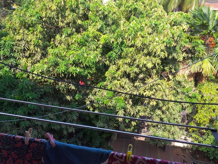 Garden, shivneri-chs-kurla 2.5 Bedroom 900 Sq.Ft. Apartment In Kurla East Mumbai 8212682