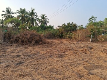 Commercial Land 17089 Sq.Ft. For Resale in Kodibag Karwar  8212738