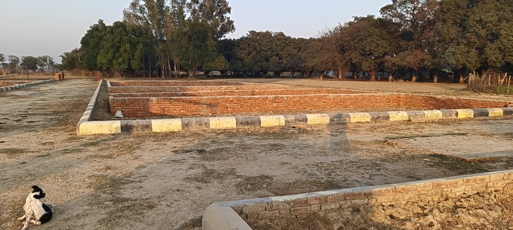 undefined, jankipuram extension  1000 Sq.Ft. Plot In Jankipuram Extension Lucknow 8213089