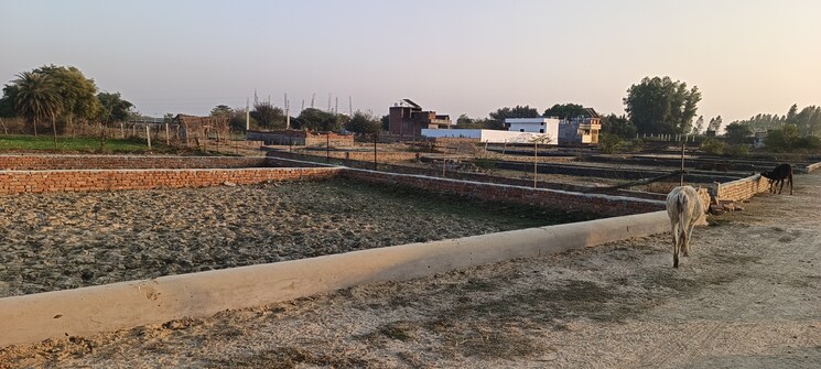 undefined, jankipuram extension  1000 Sq.Ft. Plot In Jankipuram Extension Lucknow 8213089