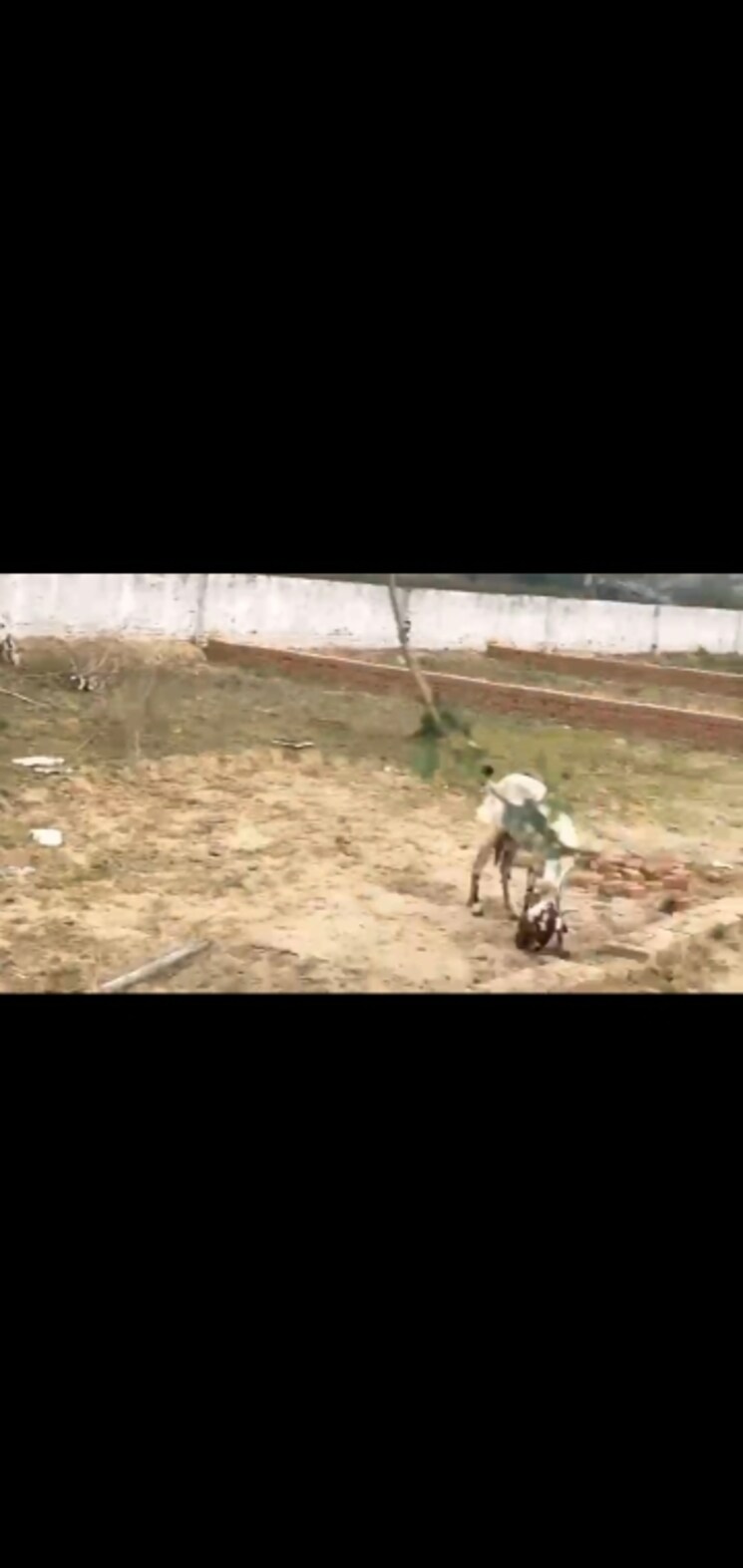 undefined, victory-ace  50 Sq.Yd. Plot In Sector 143 Noida 8213194