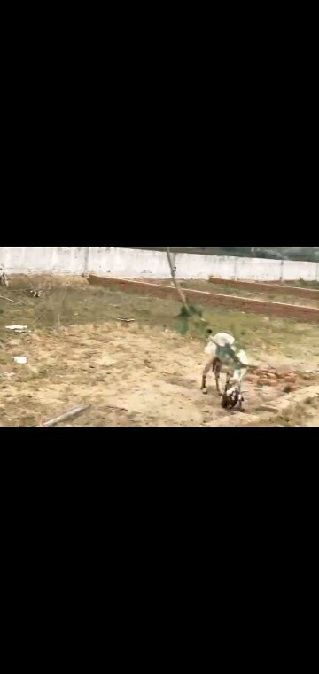 Plot Area in  Plot at Radhey Krishna Orchid, Sector 101 – for Sale