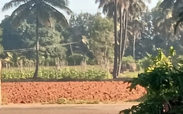 Land For Rent in International Airport Road