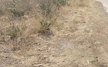 Plot For Sale in Umred rd