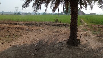Plot Area in  Plot at Sonarpur – for Sale