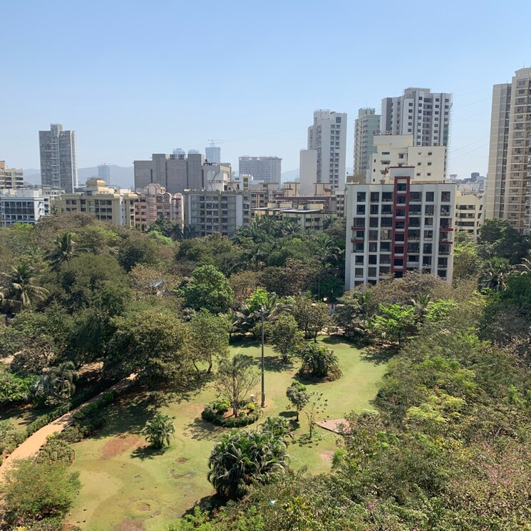 Exterior View, da-vincy-baylord 1 Bedroom 480 Sq.Ft. Apartment In Navagaon Mumbai 8213709