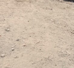 Plot For Sale in Mansarovar