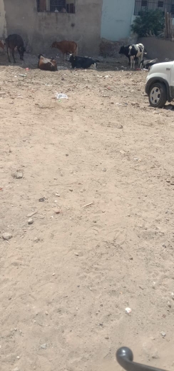 Plot For Sale in Mansarovar