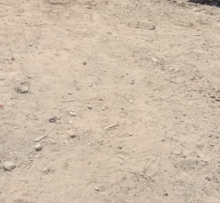 Plot For Sale in Mansarovar