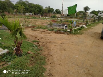 Plot Area in  Plot at Sector 150 – for Sale