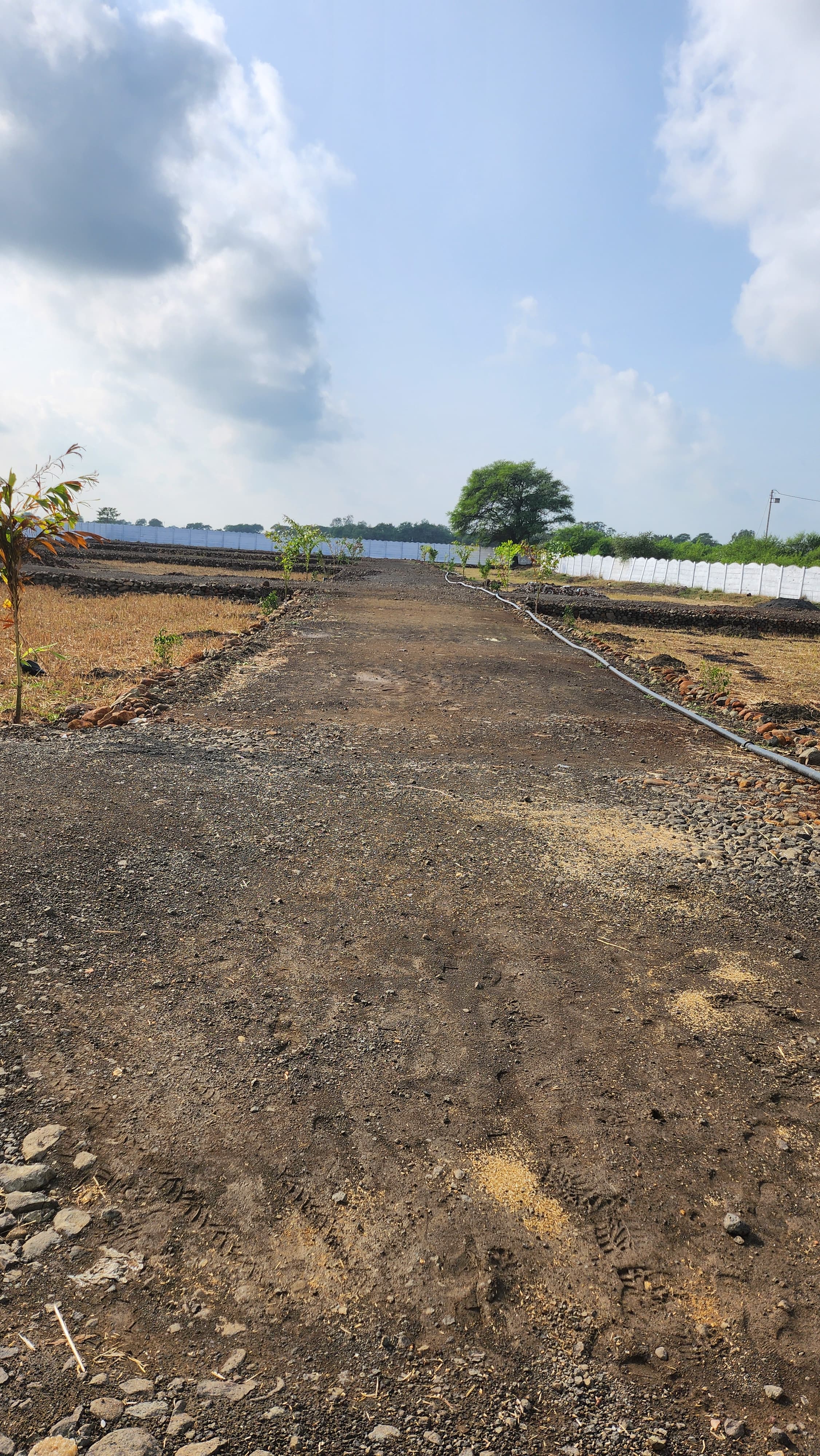 Plot For Sale in Balaji Bliss