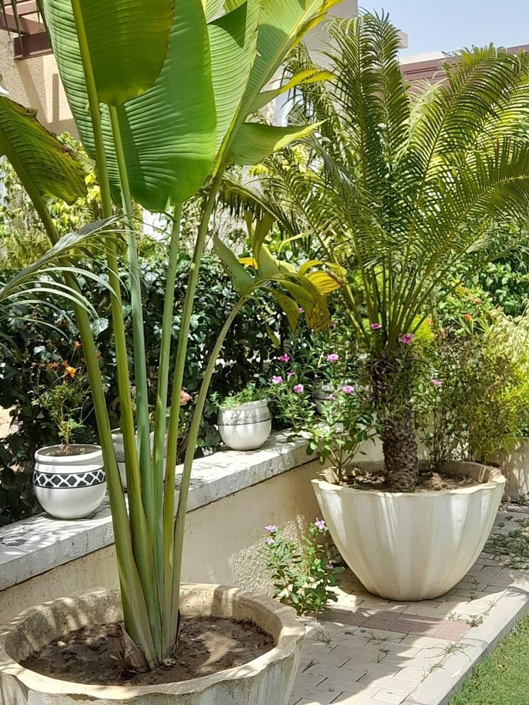 Balcony, emaar-marbella 5 Bedroom 8120 Sq.Ft. Villa In Sector 66 Gurgaon 8214324