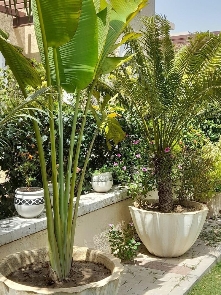 Balcony, emaar-marbella 5 Bedroom 8120 Sq.Ft. Villa In Sector 66 Gurgaon 8214324