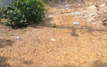 Plot For Sale in Kondapur