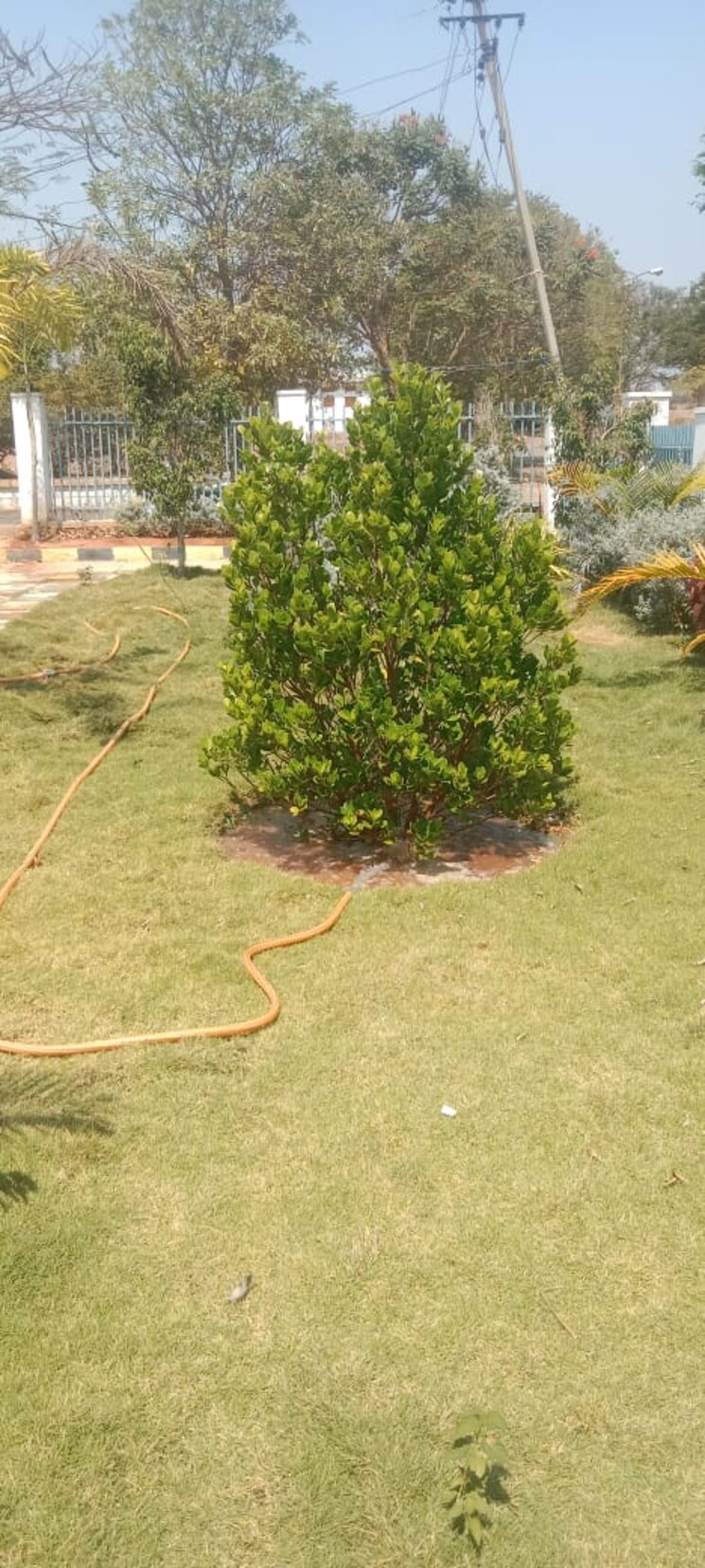 Exterior View, shadnagar  151 Sq.Yd. Plot In Shadnagar Hyderabad 8214714