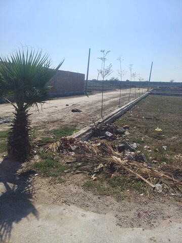  Plot – Exterior View View at Jewar - for Sale