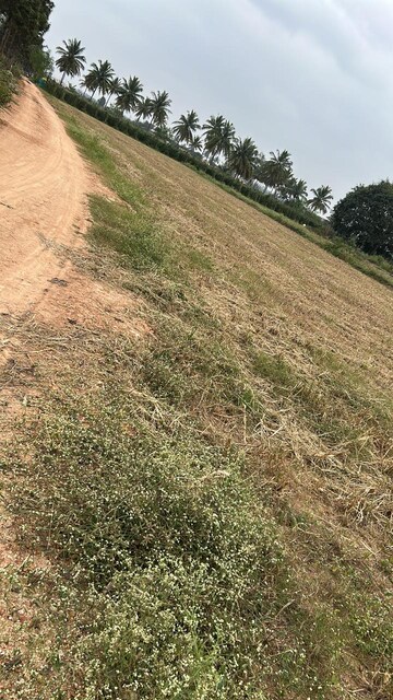 Plot Area in  Plot at Hoskote – for Sale