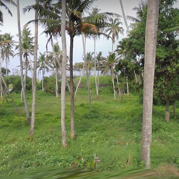 Plot For Resale in Varkala Thiruvananthapuram  8215051