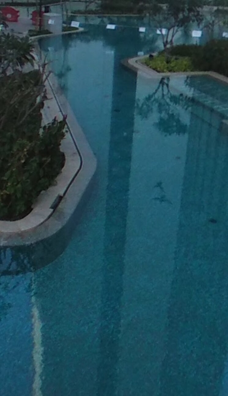 Swimming Pool, lodha-parkside 3 Bedroom 960 Sq.Ft. Apartment In Worli Mumbai 8215096