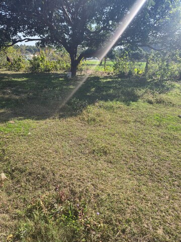 Plot Area in  Plot at Paundha – for Sale