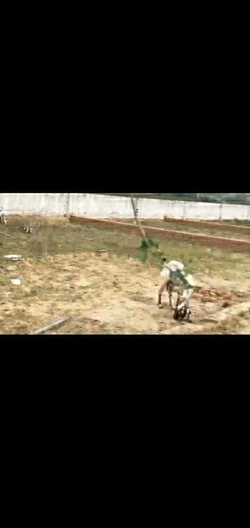 Plot Area in  Plot at Grihapravesh, Sector 77 – for Sale