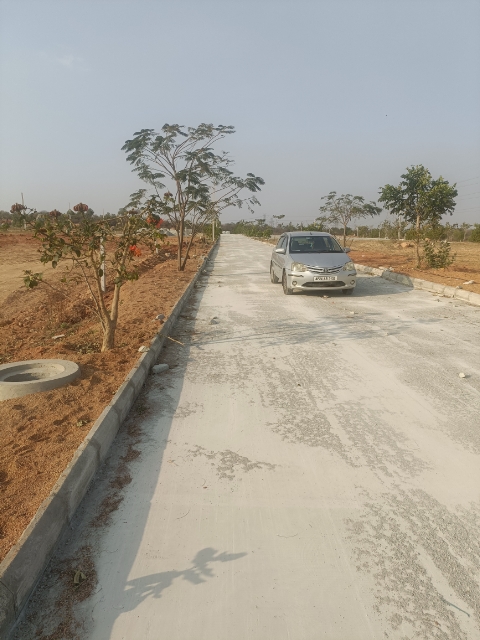 Plot For Sale in Sri Jaya Vilasini