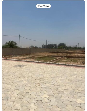 Plot For Resale in Panchkula Urban Estate Panchkula  8210136