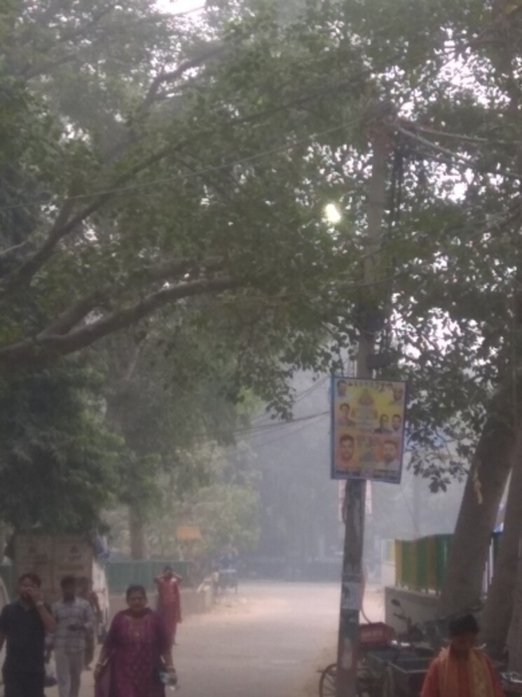 Garden, kalindi colony 6 Bedroom 465 Sq.Yd. Independent House In Kalindi Colony Delhi 8215745