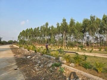 Plot Area in  Plot at Sejbahar – for Sale