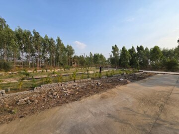  Plot For Sale in Sejbahar