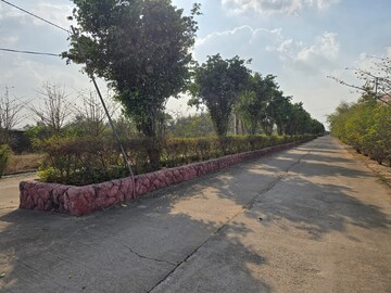 Plot Area in  Plot at Sejbahar – for Sale