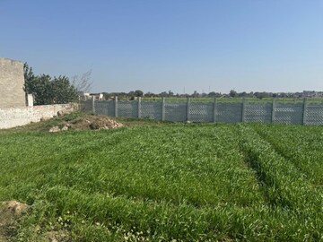  Plot For Sale in Yamuna Expressway