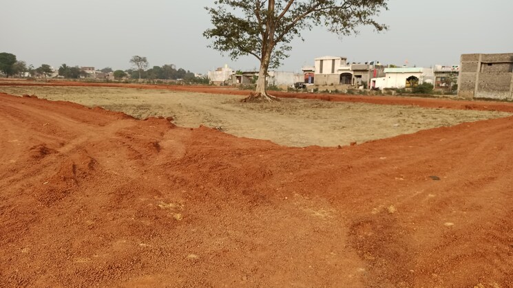 undefined, kandul  1001 Sq.Ft. Plot In Kandul Raipur 8216377
