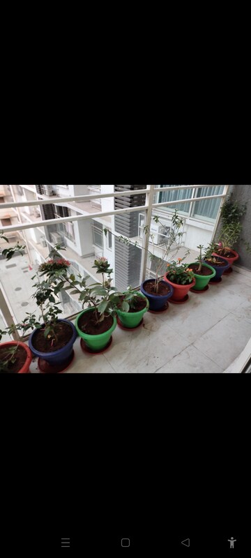 Parking in 1 BHK Apartment at MHADA Century Mill, Lower Parel – for Rent