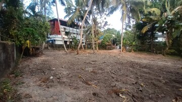 Plot Area in  Plot at Panangad – for Sale