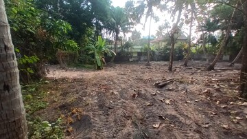 Plot Area in  Plot at Panangad – for Sale