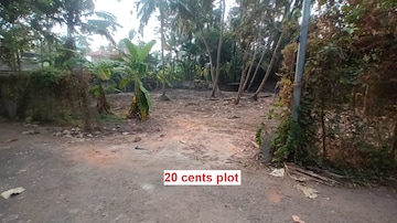 Plot For Resale in Panangad Kochi  8216679