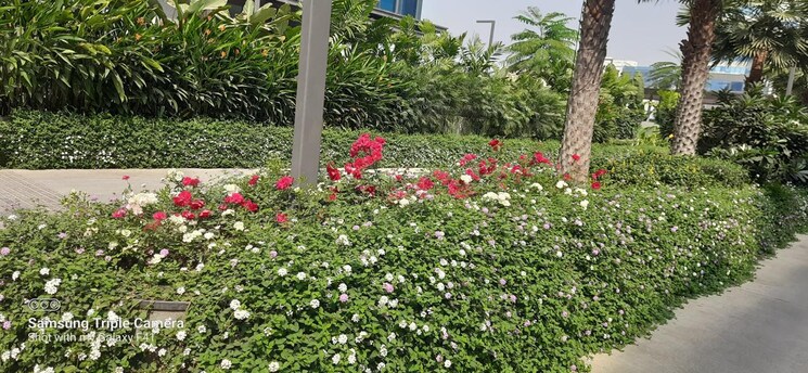 Garden, trendset-jayabheri-elevate 3 Bedroom 2530 Sq.Ft. Apartment In Madhapur Hyderabad 8216696