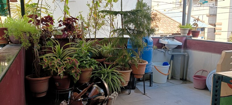 Balcony, nagpur airport 1 Bedroom 666 Sq.Ft. Apartment In Nagpur Airport Nagpur 8216969