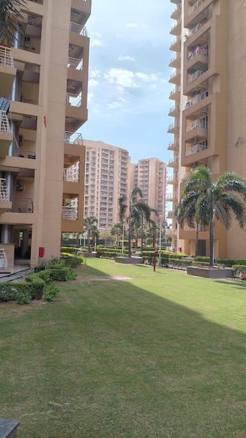 3.5 BHK Apartment For Rent in Sector 20