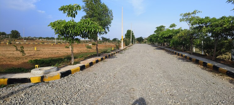 undefined, shadnagar  128 Sq.Yd. Plot In Shadnagar Hyderabad 8217322