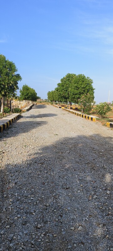 Plot Area in  Plot at Shadnagar – for Sale